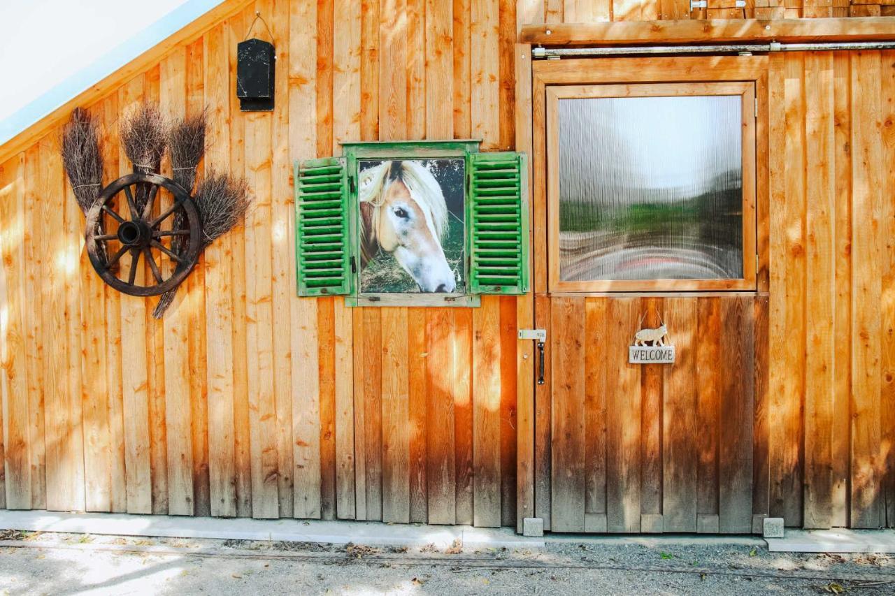 Amd Chalet Stang bei Hatzendorf Экстерьер фото