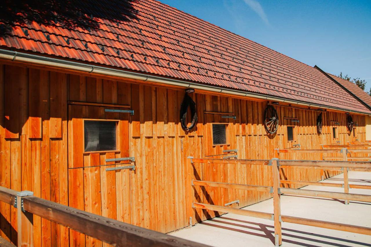 Amd Chalet Stang bei Hatzendorf Экстерьер фото